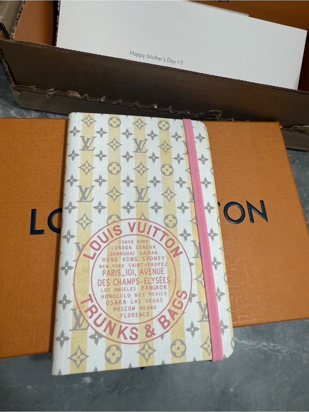 Louis Vuitton Jane Notebook Resort PM. Yellow stripes, out of stock - Picture 10 of 11